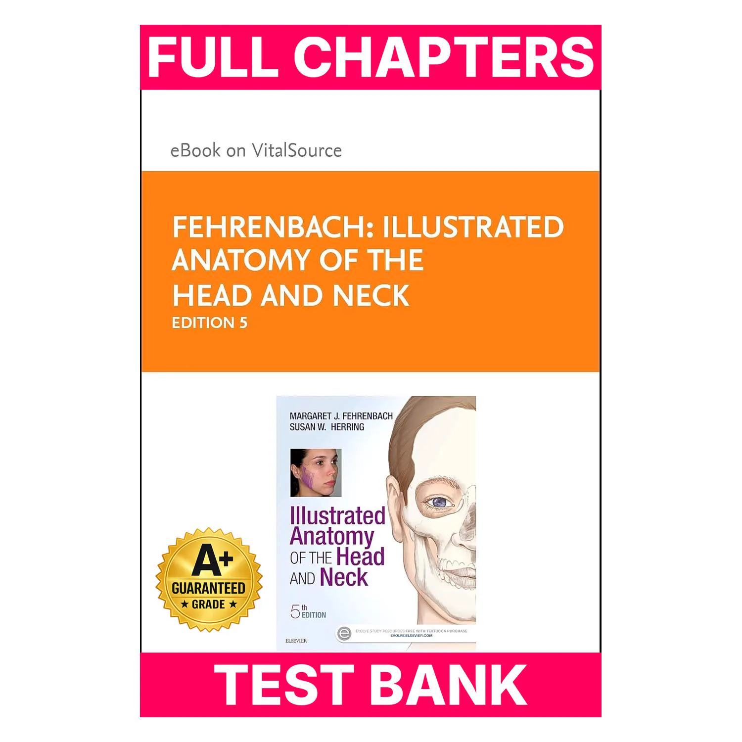 test-bank-for-illustrated-anatomy-of-the-head-and-neck-978-0323429559